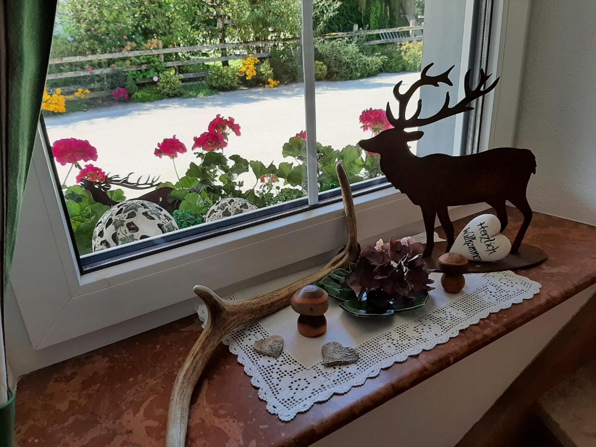 Apartment Haus Heimatblick *